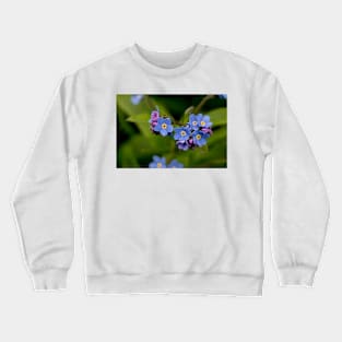 English Forget-me-not in Springtime Crewneck Sweatshirt